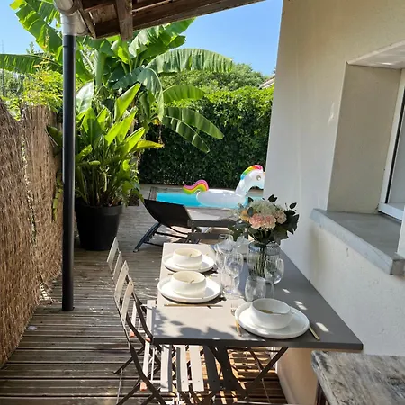 Entier - Piscine - Jacuzzi * Mons (Haute-Garonne)