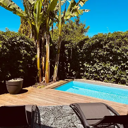 Vila Calme - 15 Min Toulouse - Piscine - *